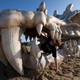 Illustration for article titled Did a massive dragon just wash ashore along Englands Jurassic coast?
